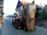 Holzkunst-Spiegelhalter > Eichenholzstamm mit über 4m Umfang
wird mit 5 t Stabler zur Säge gefahren.